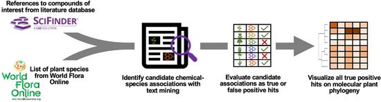 phylochemical1.jpg