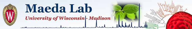 Maeda lab banner 2020.jpg