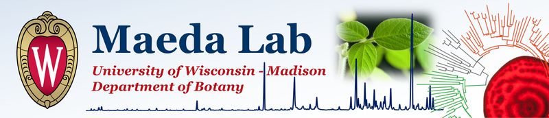 Maeda lab banner 2019.jpg